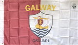 Galway 5 x 3ft Dual Coloured Flag with Crest English & Irish